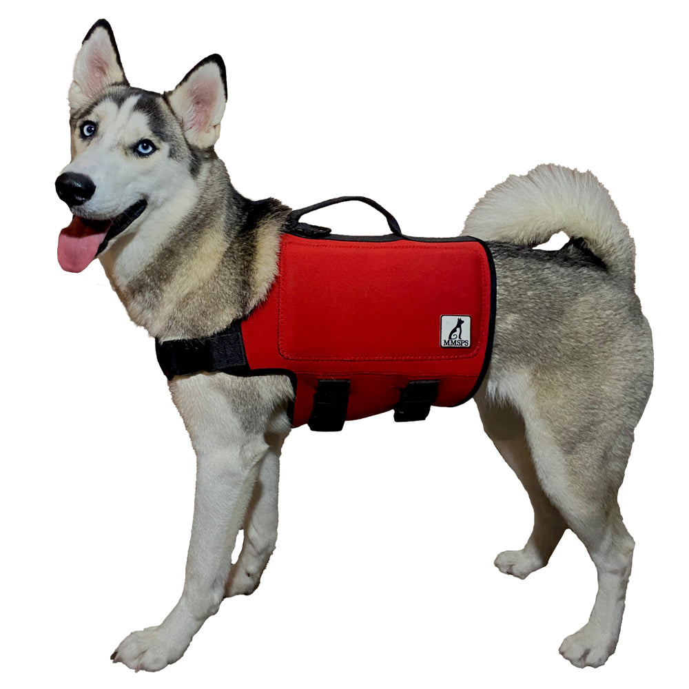 Life Jacket for Dogs and Cats