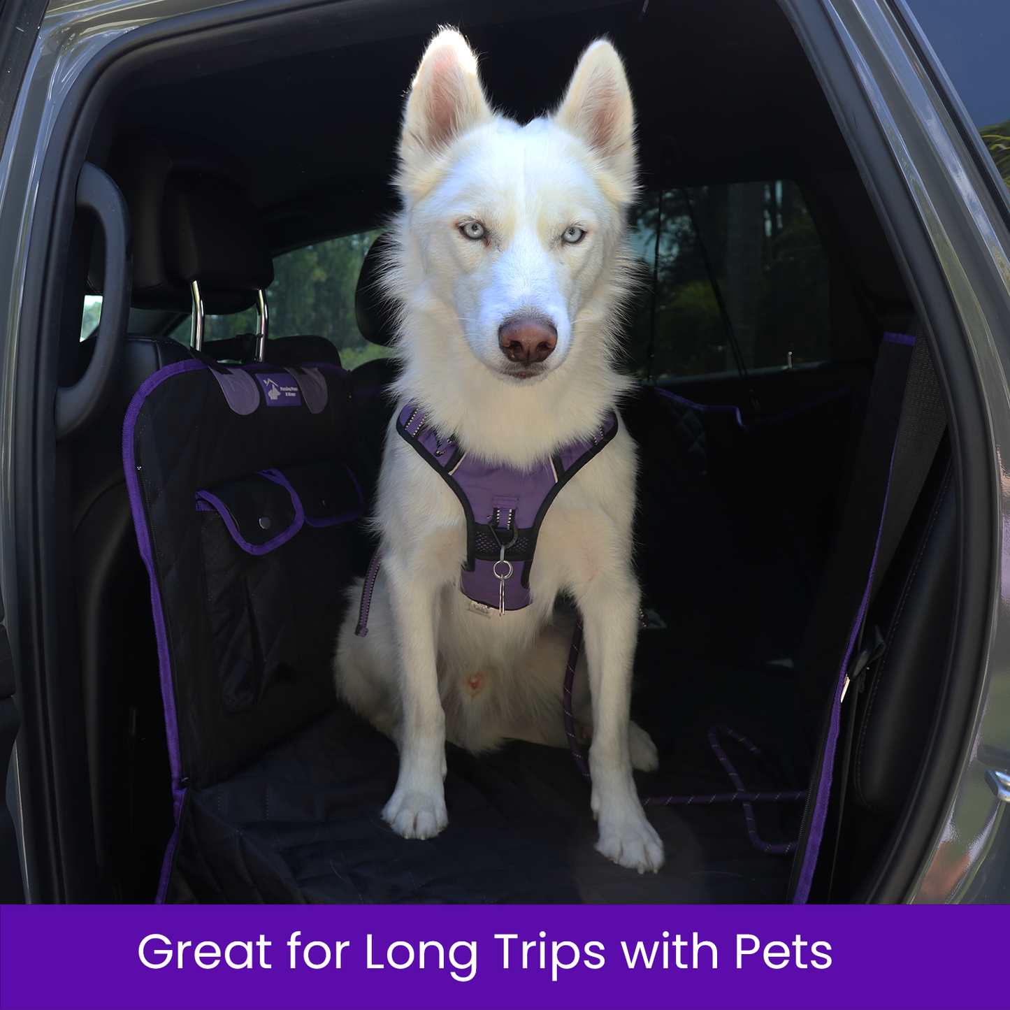 Back Seat Extender for Dogs | Hard Bottom Car Seat Cover